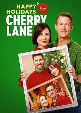雾港谜踪高清电影免费在线观看